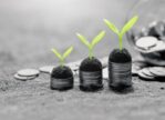 „Der Weg in den Wohlstand“ – Ihr Fundament für finanziellen Erfolg
