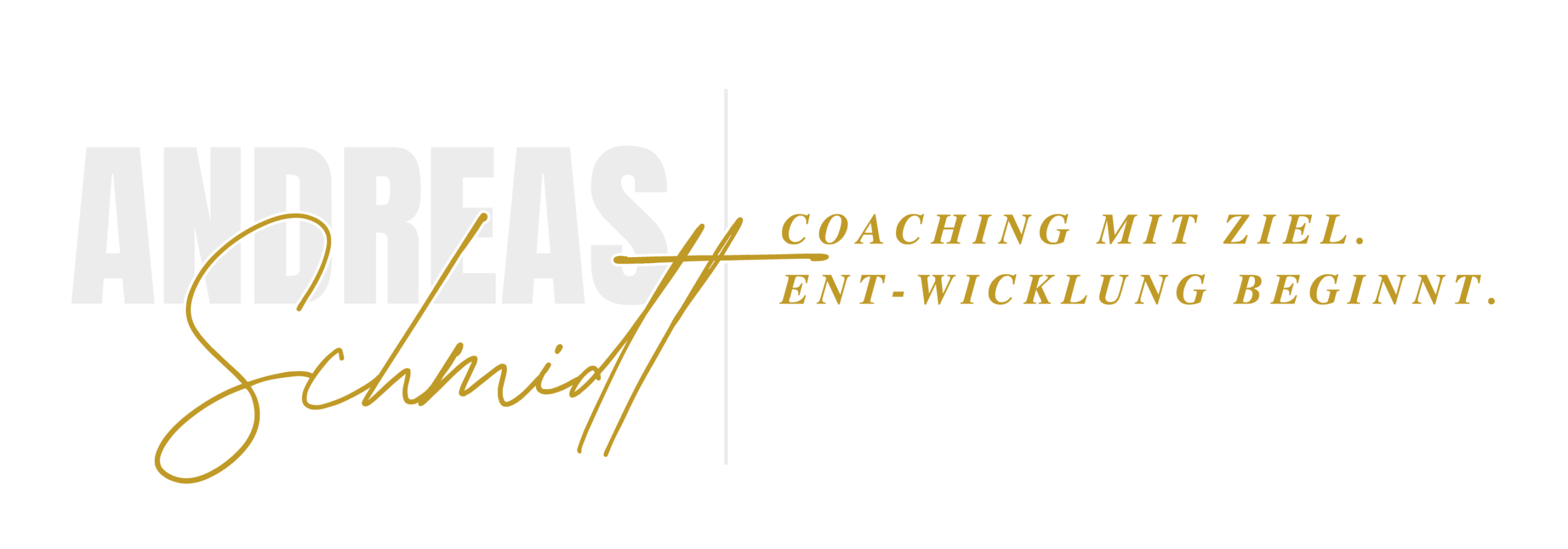 Andreas Schmidt Coaching