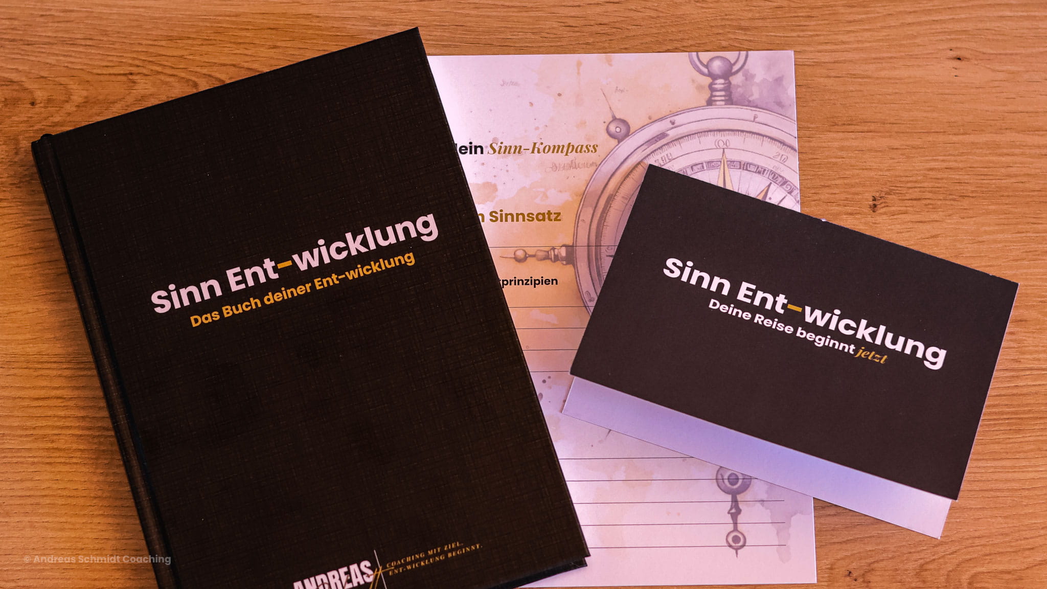 Titelbild für Presseartikel "Sinn Ent-wicklung"